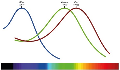 The RGB Color Model - IONOS